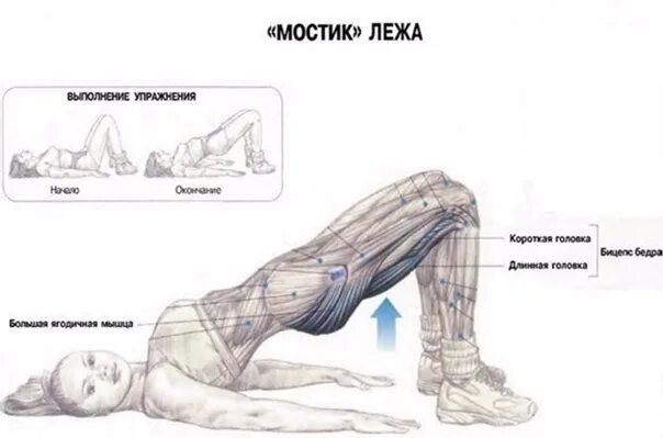 Ягодичный мост техника выполнения. Упражнение ягодичный мост мышцы. Ягодичный мостик со штангой техника. Упражнение ягодичный мостик. Ягодичный мостик задействованные мышцы.
