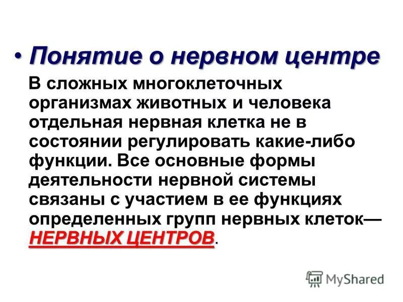 понятие о нервном центре свойства нервных центров. понятие о нервном центре свойства нервных центров. свойства нервных центров. понятие о нервном центре. понятие о нервном центре свойства нервных центров.