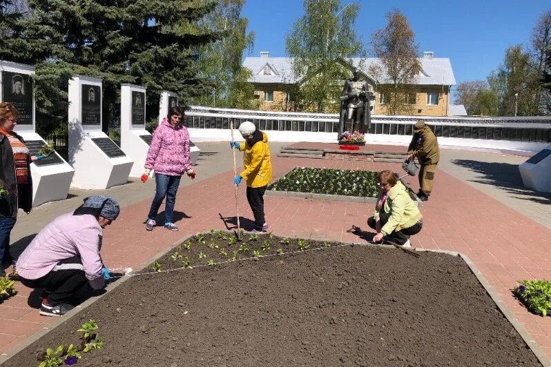 Новости сосновки. Новости сосновки. Новости сосновки. Новости сосновки. Новости сосновки.