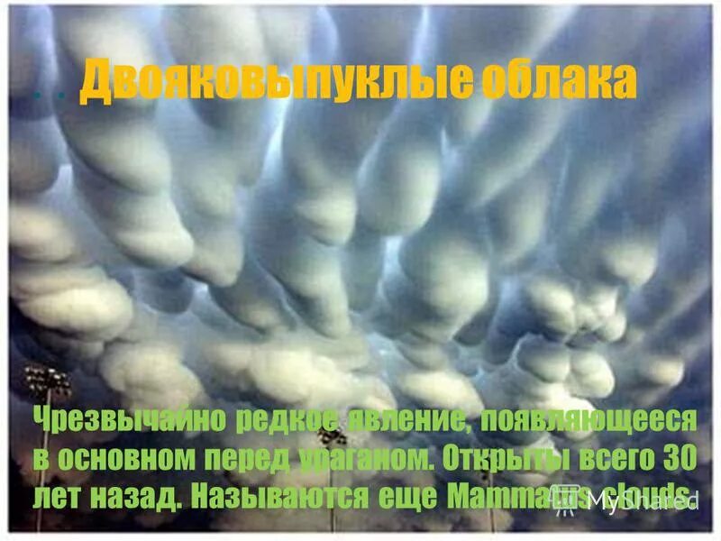 Интересные факты о природе. Орхидные презентация. Недостаток протромбина. Полиплоидные формы тутового шелкопряда. Смешанный иск это.