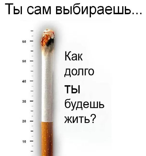 Курить не брошу. Курить вредно. Бросай курить. Брось курить.