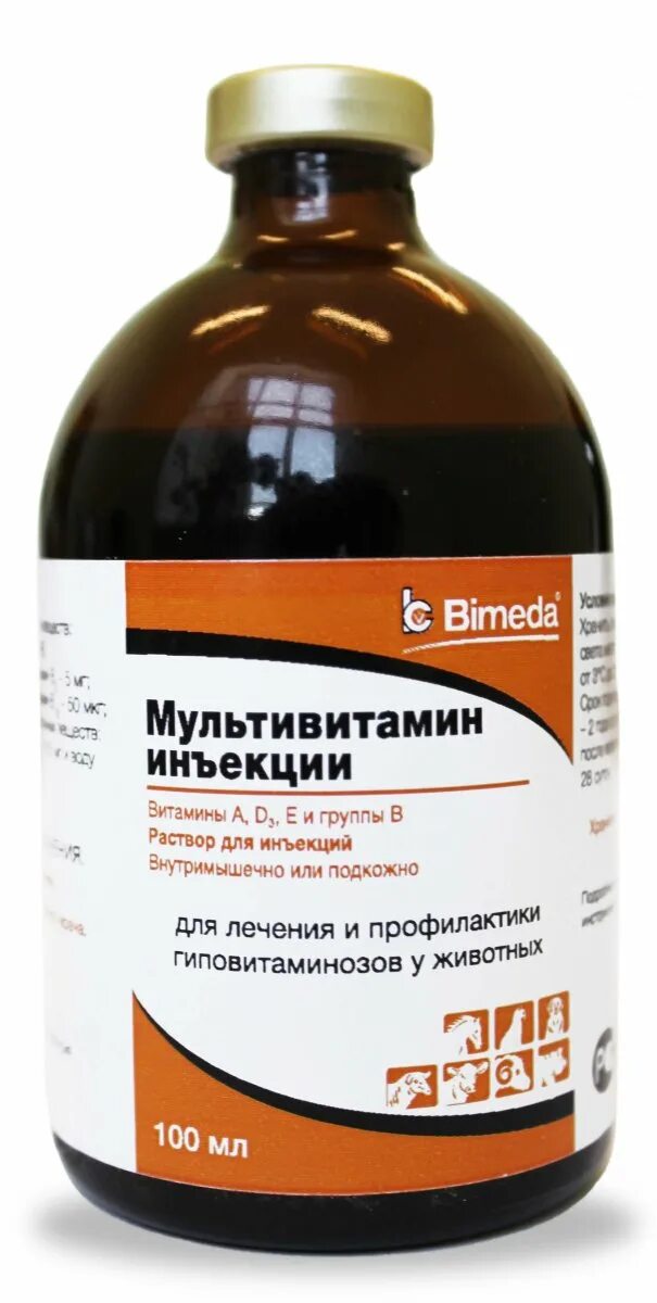 Витамины для уколов хорошее. Multivitamin Injection 100ml для коровы. Витамины для КРС В уколах. Витамины для телят для быстрого роста. Витамины для крупнорогатого скота.