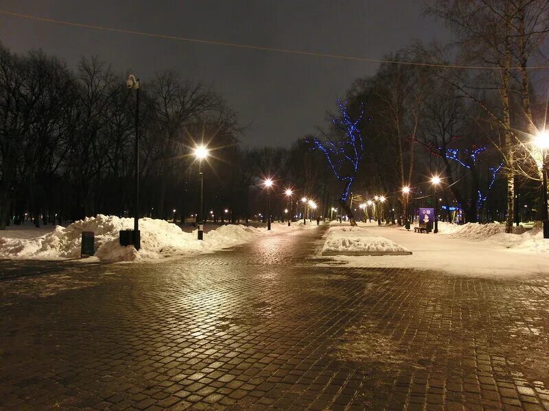 Самара гагарина. Зимний парк Гагарина Самара. Парк Гагарина Самара зимой. Парк Гагарина Самара ночью. Самара парк Гагарина ночь зима.