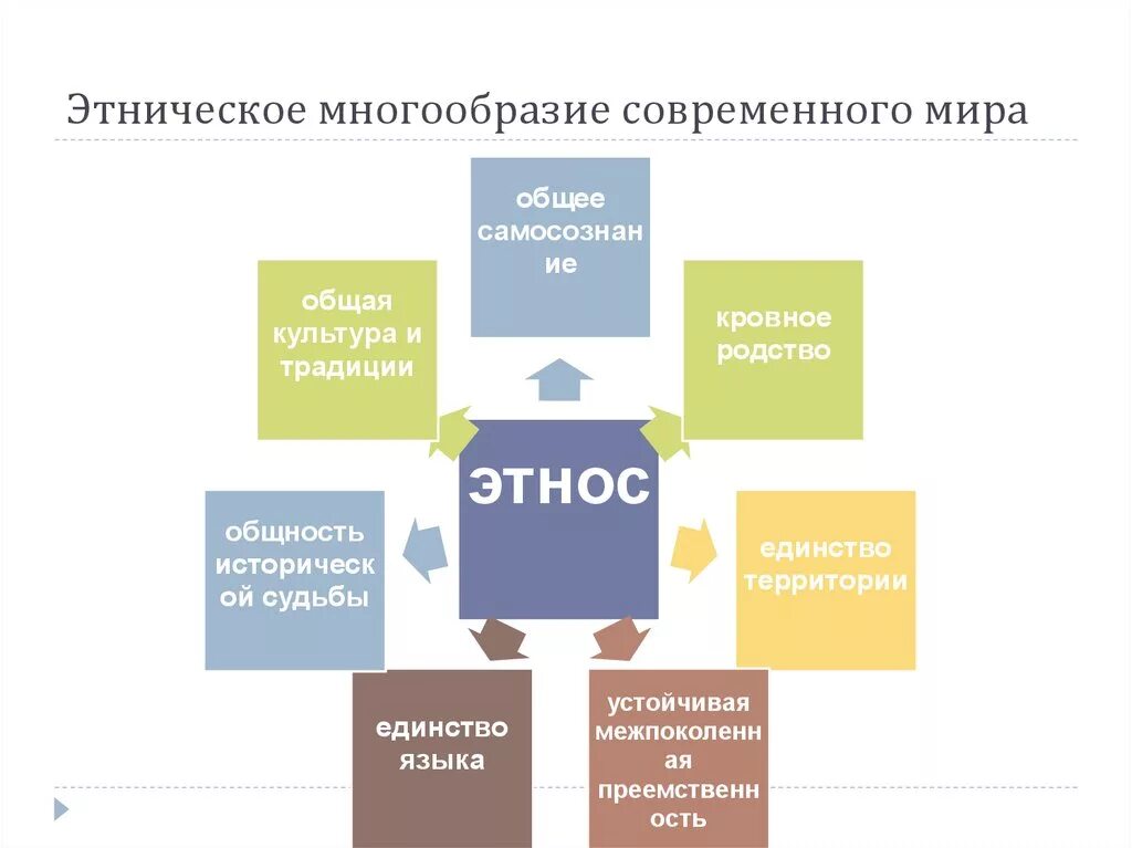Виды этнических общностей. Этнос понятие в обществознании. Исторические формы этнических общностей. Общность геополитических условий исконное языковое родство. Формы развития этноса.