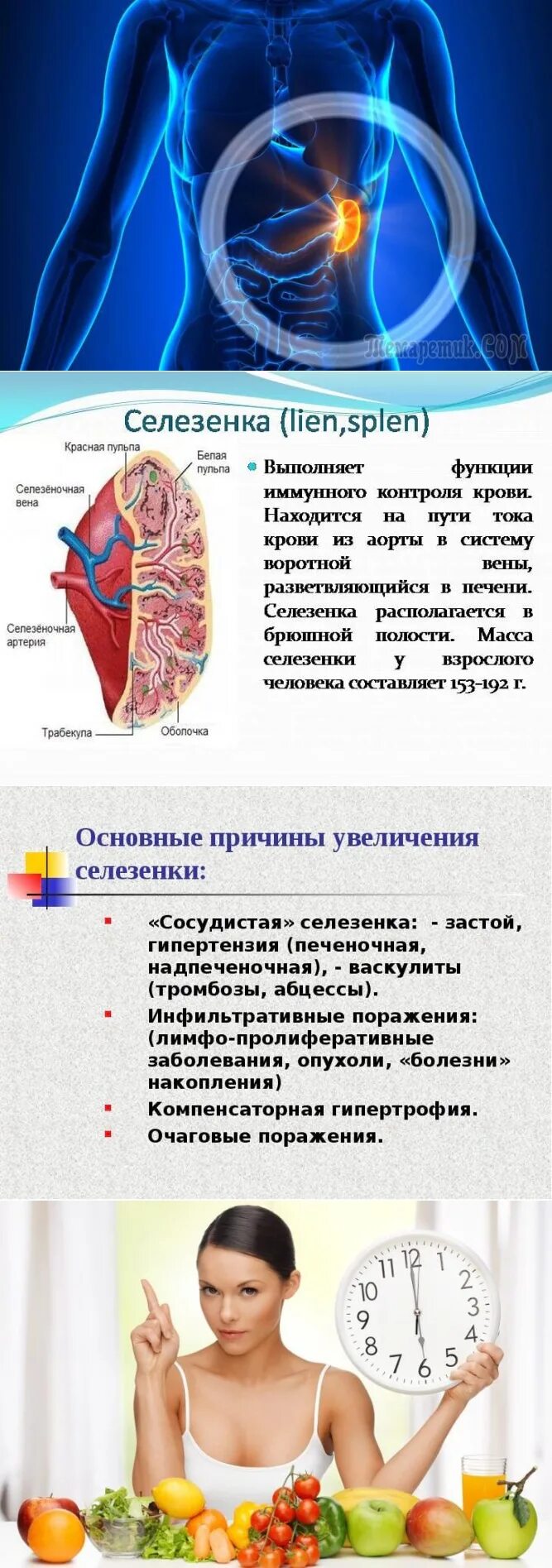 Какие заболевания селезенки. Болезненность селезенки. Спленомегалия симптомы.