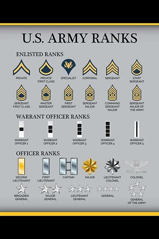 Us ranks. Воинские звания США. Звания в армии США. U S Army Ranks. Us Army Ranks and Insignia.