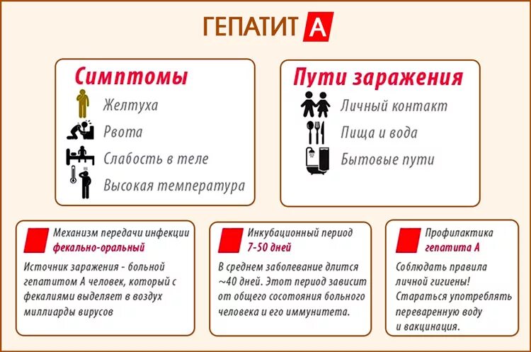 Гепатит б сколько раз. Прививка гепатит а схема вакцинации. Схема постановки прививки от гепатита. Вакцинация гепатит в схема. Прививка от гепатита вакцина.