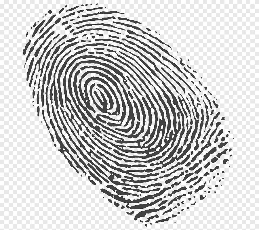 Нарисованный отпечаток. Печатки на пальцах. Отпечатки пальцев дактилоскопия. След пальца дактилоскопия. Папиллярные узоры.