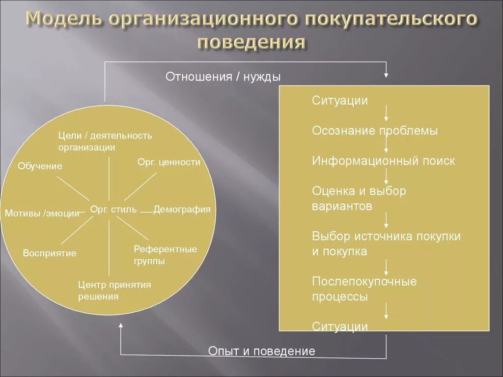 Модель организационного покупательского поведения. Схема покупательского поведения. Организационное покупательское поведение. Моделирование покупательского поведения.