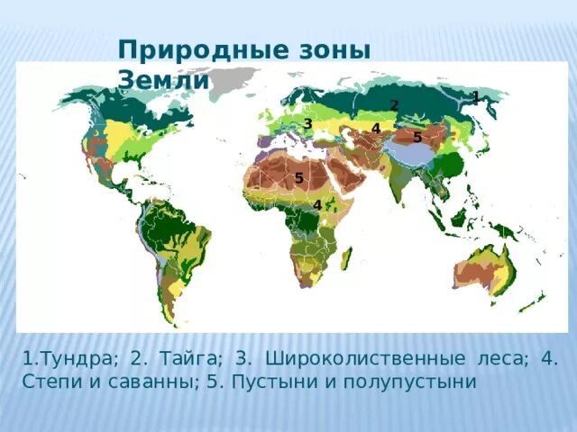 Карта природные зоны земли 6 класс география. Природные зоны земли карта 5 класс биология. Размещение природных зон на земле. Растительность природных зон земли биология