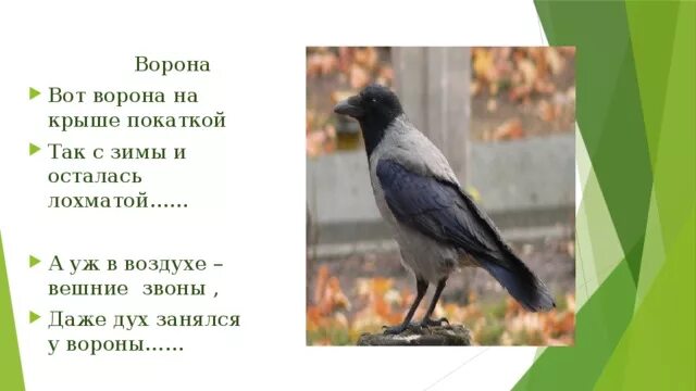 Вешние звоны как понять. Вешние звоны как понять