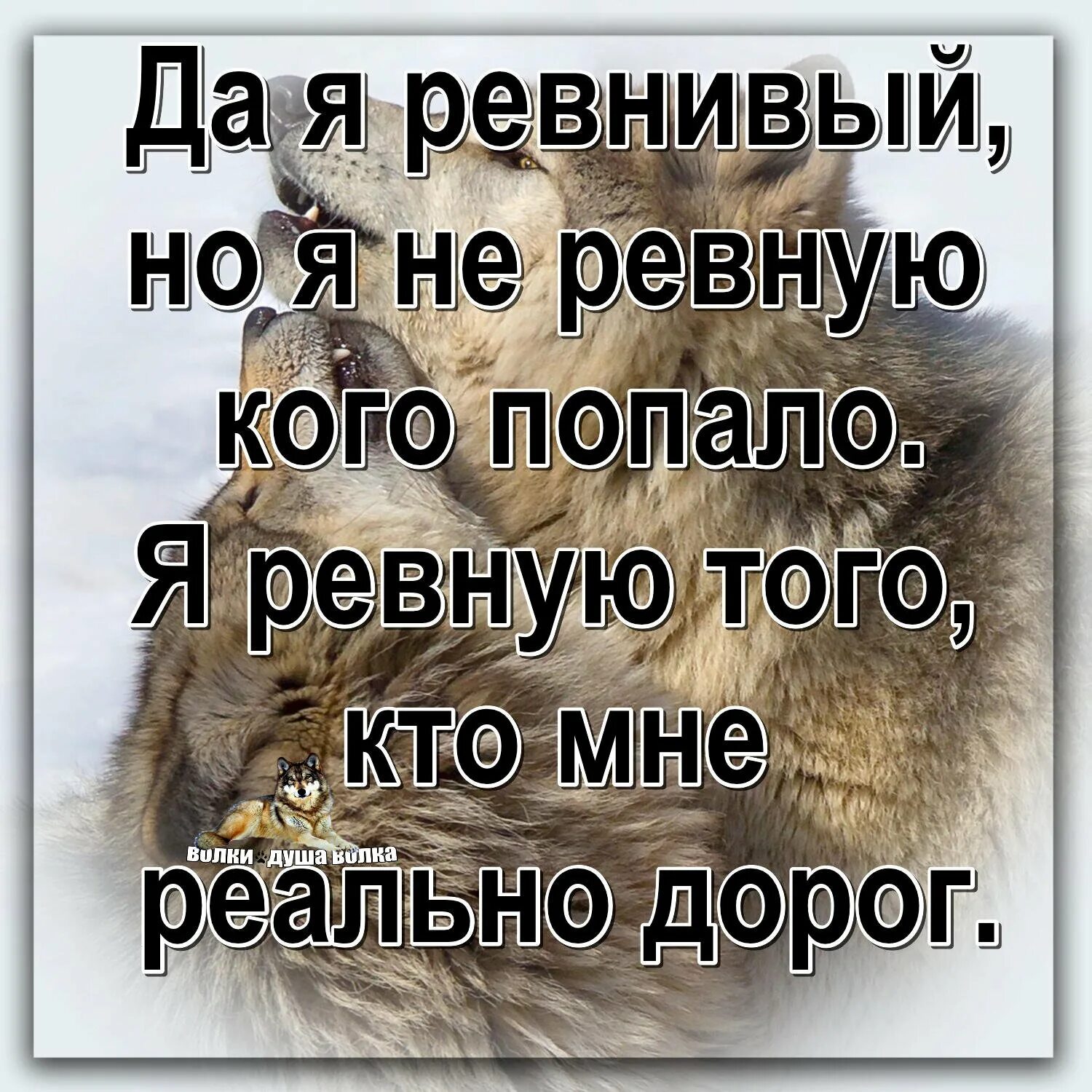 Очень люблю и очень ревную. Я ревную. да я ревнивая. я не ревную я просто охраняю. ревную тебя.