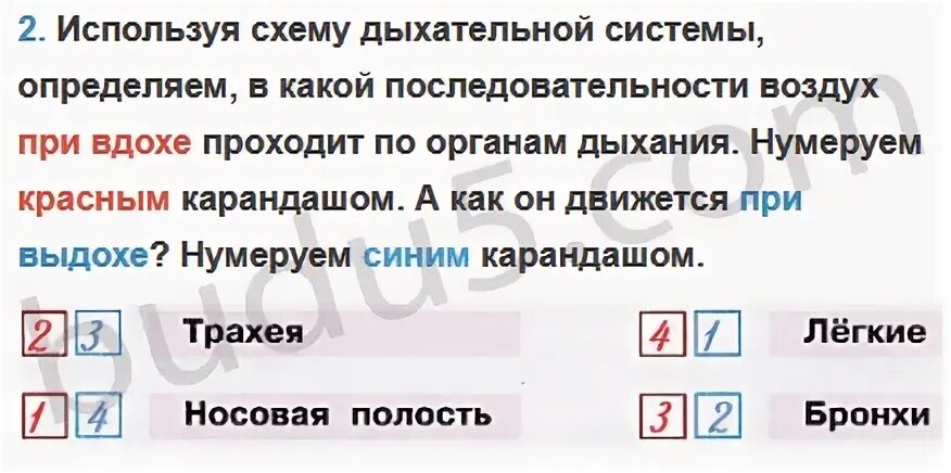Учимся измерять пульс 3 класс окружающий мир. Учимся измерять пульс 3 класс окружающий мир