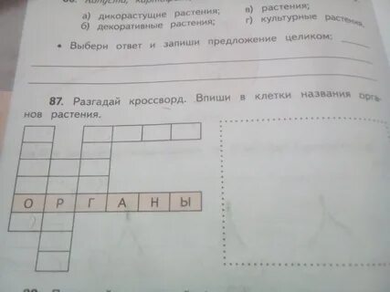 Разгадай и запиши ответы