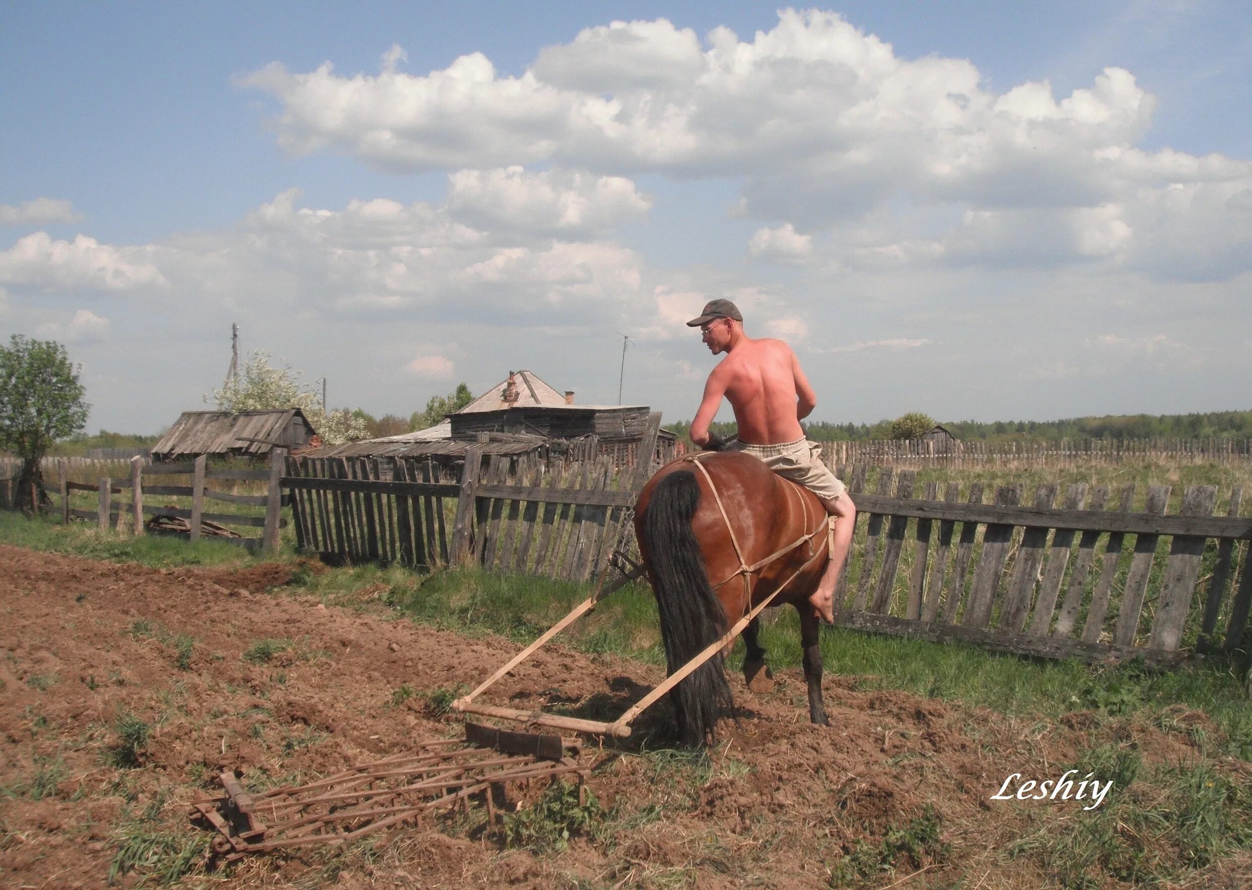 Хороший труженик