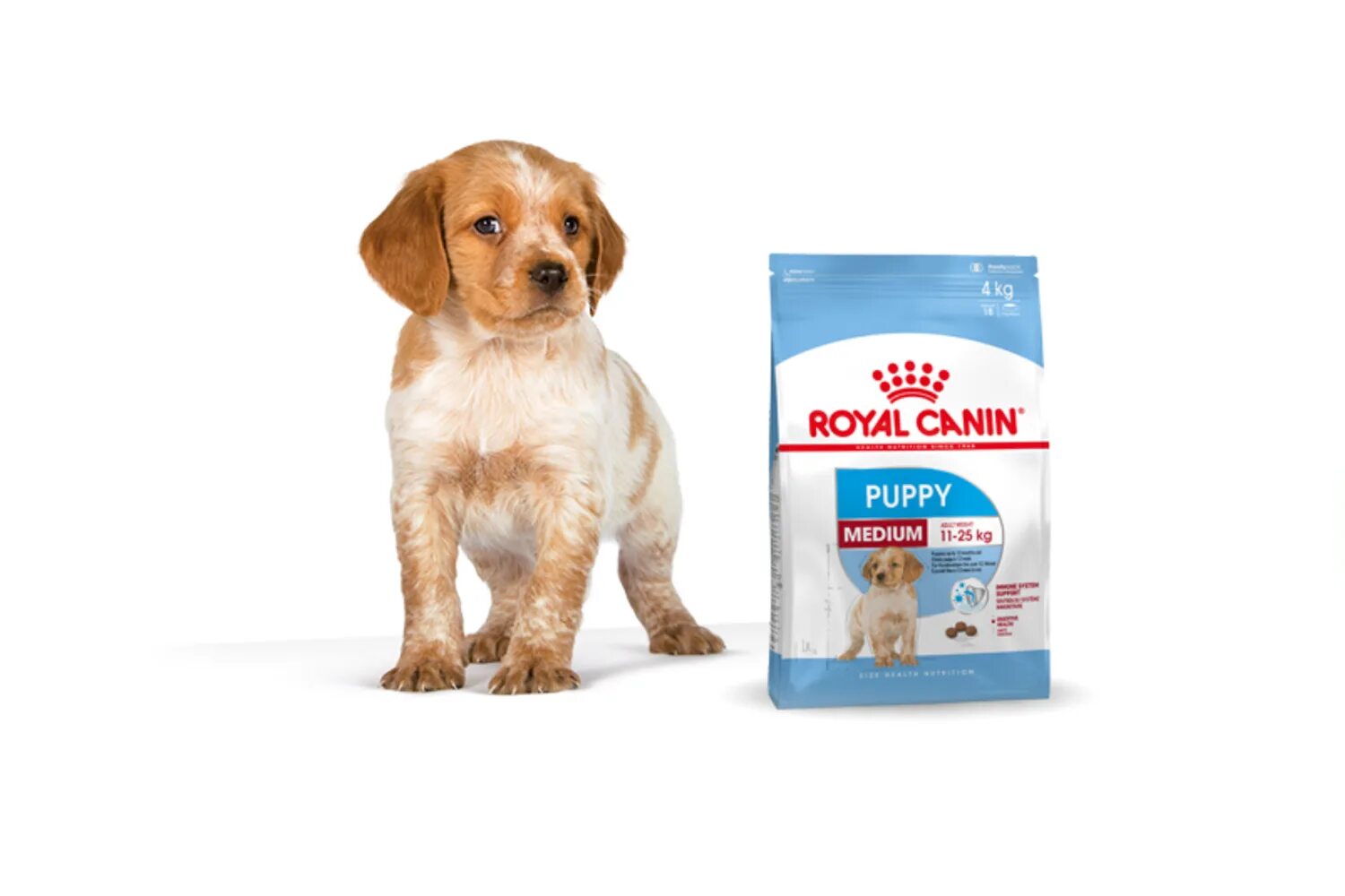 Royal canin puppy. Royal Canin Medium Puppy. Royal Canin Medium Puppy +3 jpeg. Royal Canin Medium Puppy +3free jpeg. RC Д/С Медиум Паппи д/щ средн.разм. 3кг.