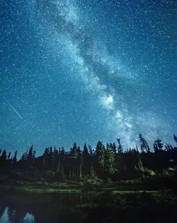 Звездная полночь
