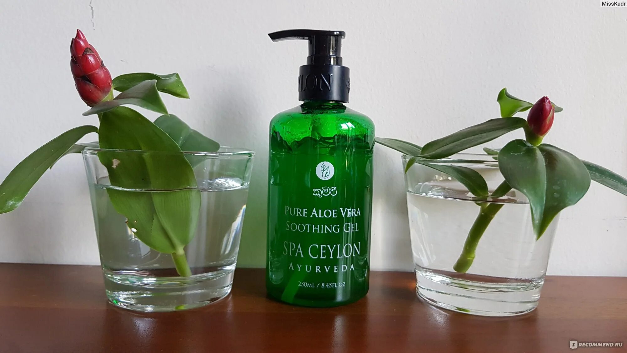 Aloe pure