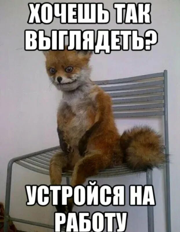 Не худший вариант. Мемы с актерами. Не худший вариант. Мемы про парней. Шутки про петербург.