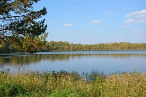 Озеро светлое нижегородская область