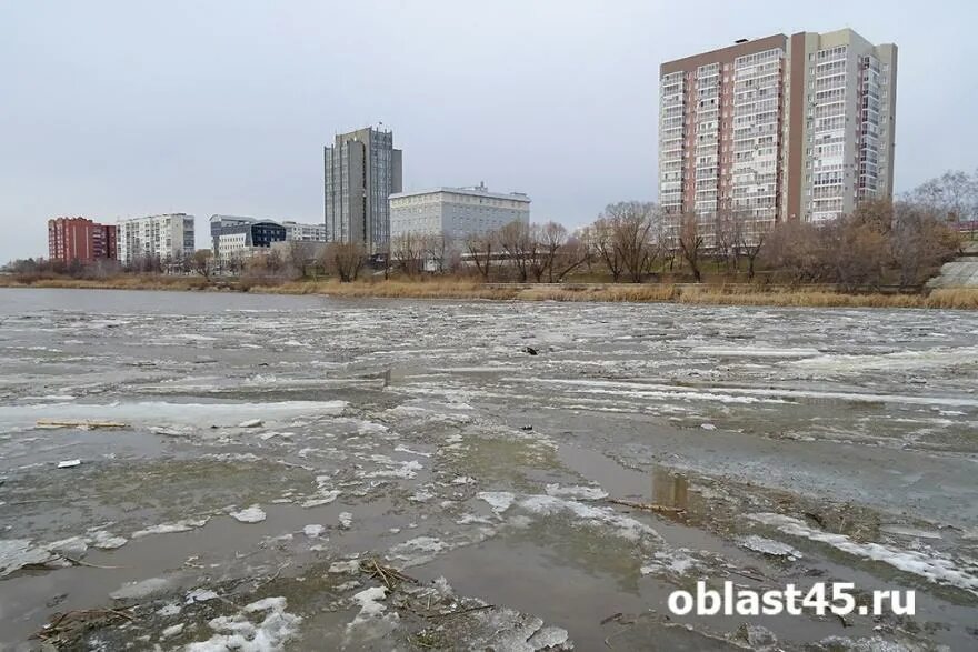 Уровень воды в реке тобол звериноголовское. Река Тобол Курган. Курган уровень реки Тобол. Уровень воды в Тоболе сегодня в Кургане на 8. Уровень воды в реке Тобол у Звериноголовского на сегодня.