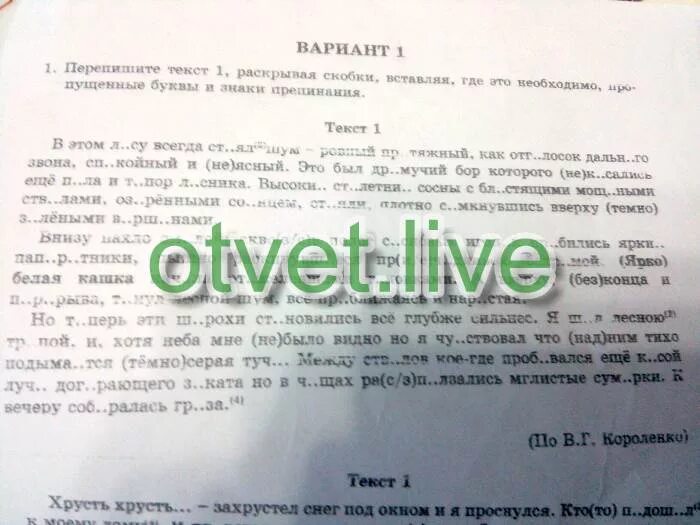 Плотно ратью