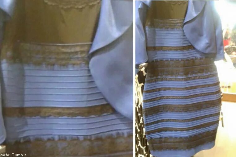 Бело золотой сине. Платье сине-черное 95 см Стефанелли. Бело золотое платье. Бело золотистое платье. Платье голубое или золотое.