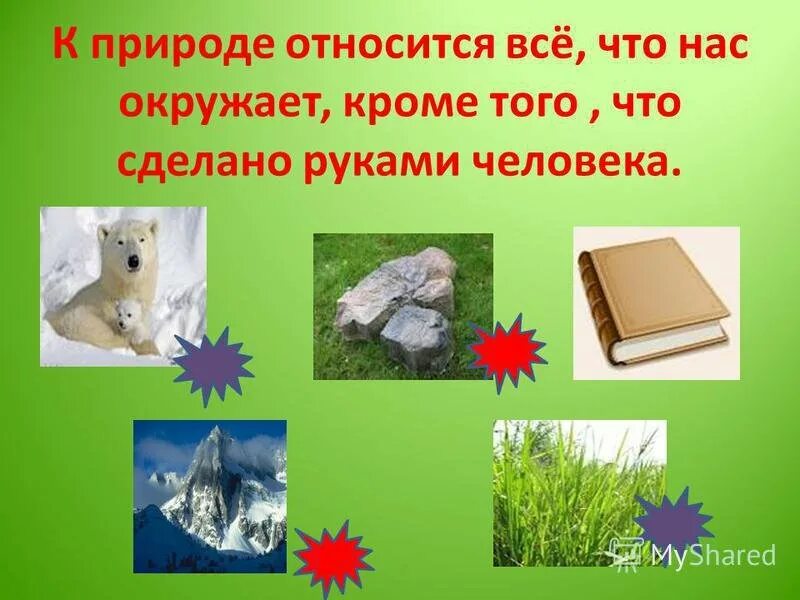 Живая неживая природа россии. Живая и неживая природа. Предметы живой и неживой природы. Живая природа презентация. Объекты живой природы 1 класс.