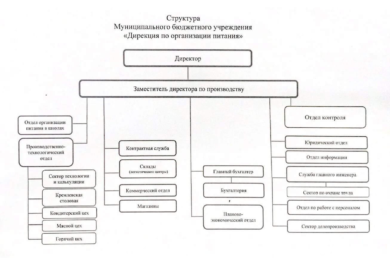 Дирекция питания нижний новгород. Дирекция в организационной структуре. Структура компании с дирекциями. Организационная структура пищевого предприятия. Структура муниципального бюджетного учреждения.