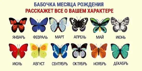 Бабочка символ значение. Что символизирует бабочка. бабочка значение символа. символ бабочка что означает. это бабочка мес.