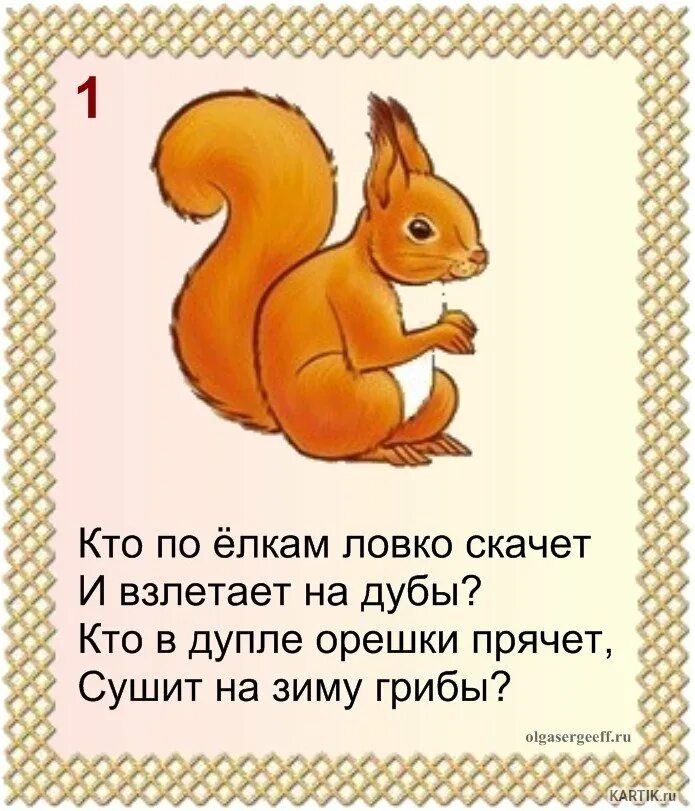 1 загадку про животных. Загадка про белку. загадка о белке. загадки о животных. стих про белку.