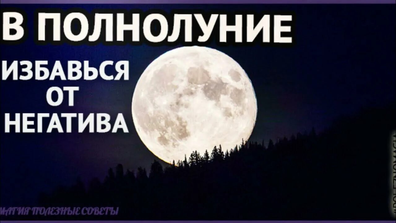 Заговор на полнолуние. Ритуалы в полнолуние. Полнолуние обряды и ритуалы. Заговор на луну в полнолуние.