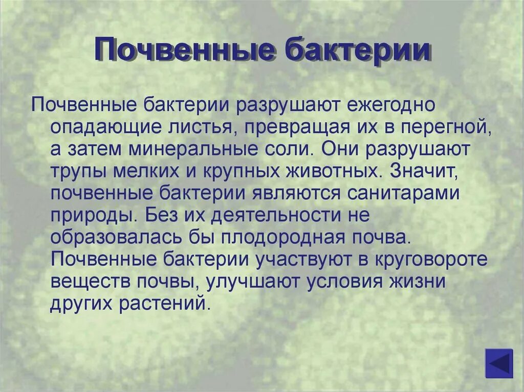 Значение почвенных бактерий. Доклад на тему почвенные бактерии. Сообщение о почвенных бактериях. Почвенные бактерии 5 класс биология. Почвенные бактерии доклад.