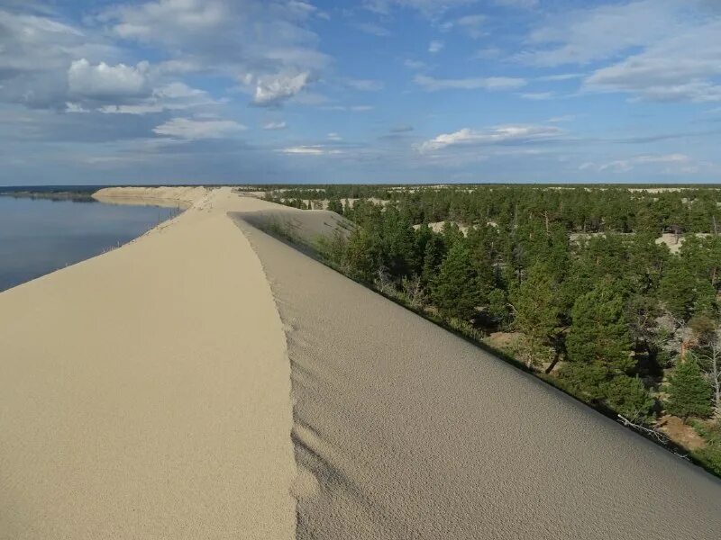 якутия пески тукуланы. якутия пустыня тукуланы. дюны тукуланы — пески в якутии. дюны тукуланы. якутск тукуланы.