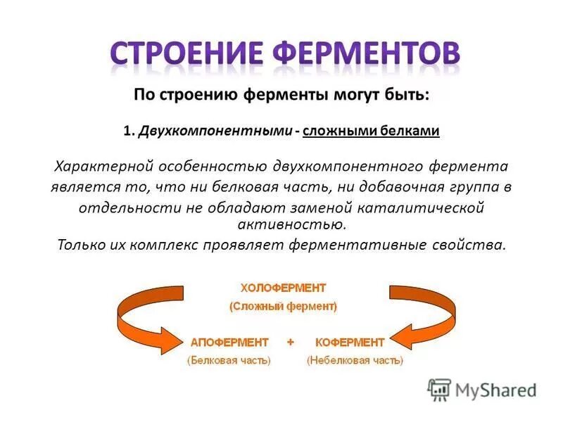 Небелковая часть фермента. Особенности строения ферментов. Структура ферментов. Белковая часть фермента. Строение двухкомпонентных ферментов.