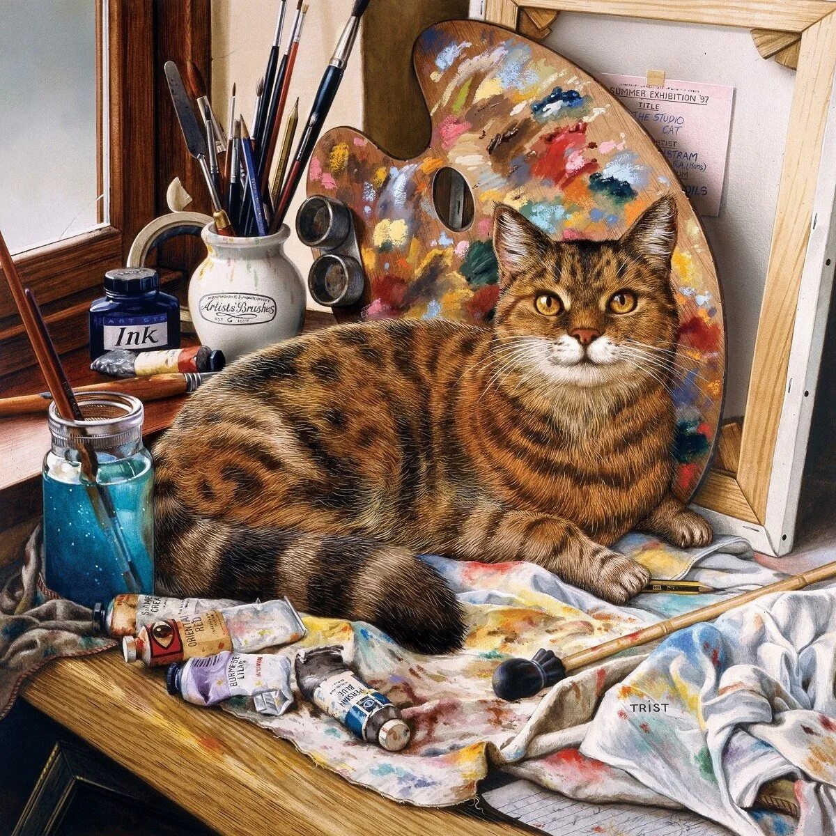 Кот пилот. Картина по номерам белый котик. Номер коти. Кот и кофе арт. Рисунок по номерам кот.