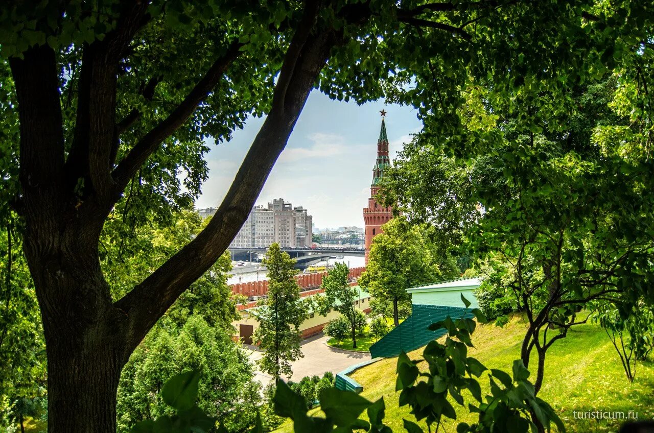 Сады московского кремля. Тайницкий сад Московского Кремля. Москва Кремль Тайницкий сад. Тайницкий парк в Кремле. Тайницкий сад Московского Кремля фото.