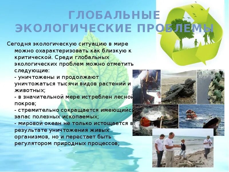 Экологический доклад. Экологические проблемы доклад. доклад на тему экологические проблемы. сообщение на тему экологические проблемы. доклад на тему экологическая тематика.