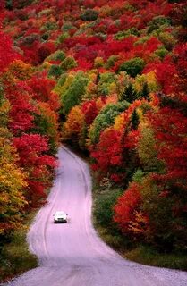Fall are