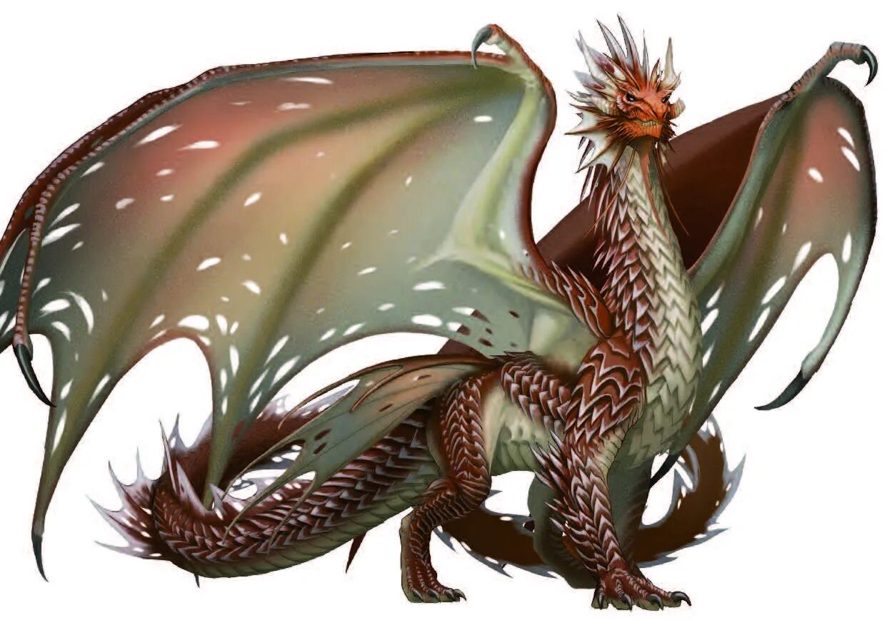 древний синий дракон днд. зеленый дракон днд. Pathfinder дракон теренделеф. черный дракон днд. древний медный дракон днд.