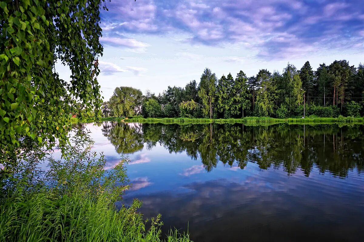 Луковое озеро Ногинск. Оз луковое Ногинский район. Луково озеро, Ногинск, Московская область. Город Ногинск озеро луковое. Индекс озер московской