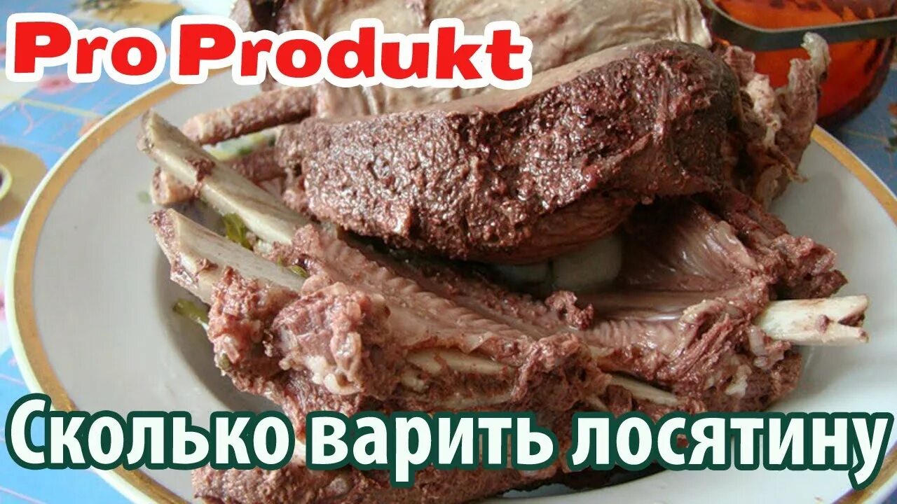 Сколько варить лося. Мясо лосятины на кости. Сколько варится мясо лося. Сколько нужно варить лосятину. Лосятина по кремлевски.