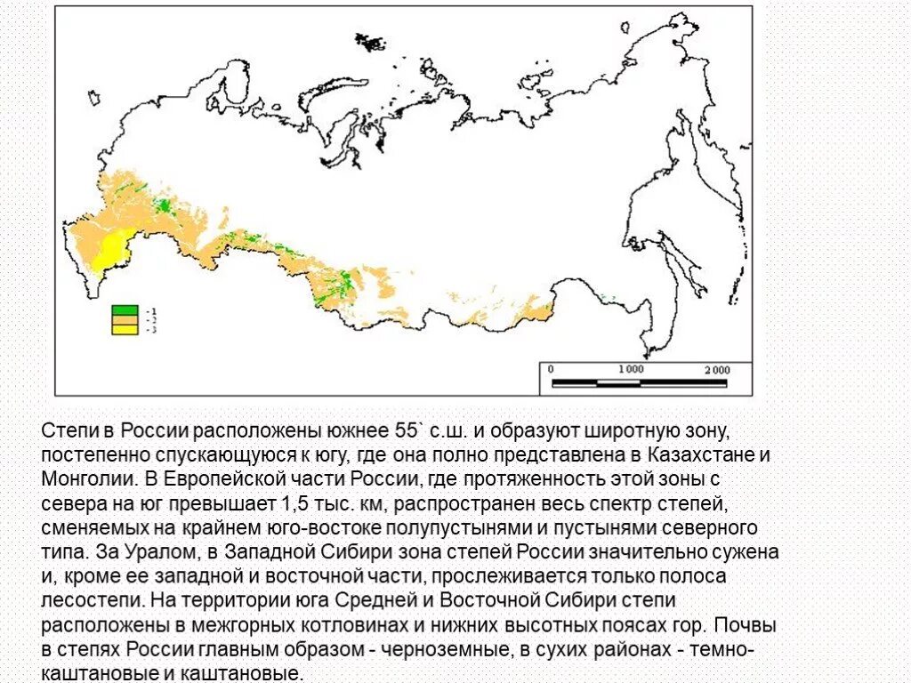 Где находятся лесостепи и степи. Степи и лесостепи географическое положение карта России. Географическое положение зоны степей в России. Географическое положение степи в России на карте. Географическое расположение степей на карте России.