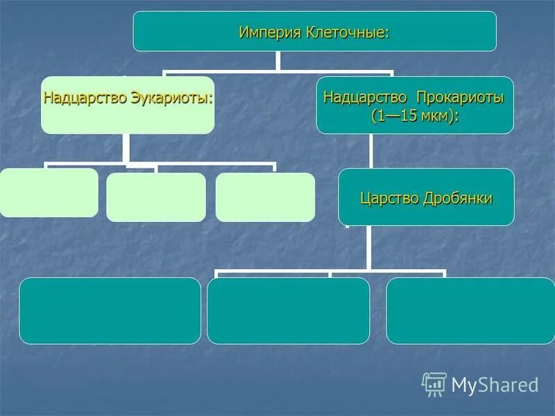 Надцарство прокариоты. Империя клеточные Надцарство. Надцарство эукариот. Надцарство прокариоты царство дробянки. Схема Империя Надцарство.