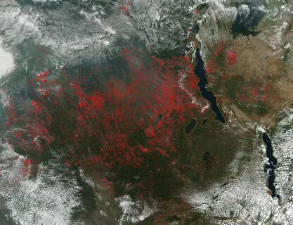 Термоточки наса