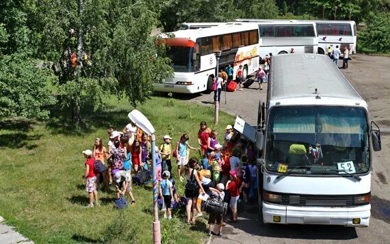 Заезд детей осуществляется не более. Заезд детей в лагерь. Автобус в лагерь. Автобусы едут в лагерь. Автобус дети лагерь.