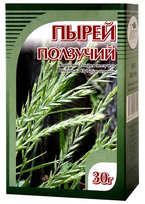 Пырей ползучий корень. Пырей трава аптечная. Пырей ползучий препараты. Экстракт травы пырея ползучего.