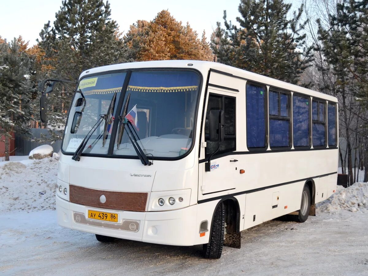 ПАЗ 320402-04. Автобус ПАЗ 320402-05. ПАЗ 320402-04 вектор. Автобус 3204 ПАЗ новый.