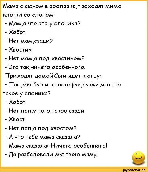 Анекдоты про маму. Шутки про мать. Шутки про маму. Смешные анекдоты про мать. Анекдоты зоопарк