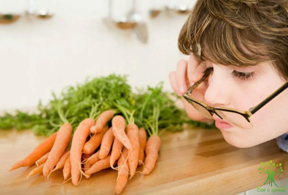 Зож глаза. Зож глаза. Продукты полезные для глаз. Зрение. Зож глаза.